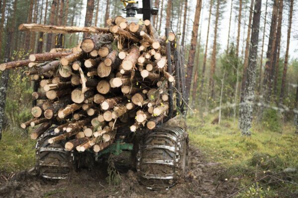 metsakone-verljekset-parkkonen (4) metsakone-verljekset-parkkonen (4)